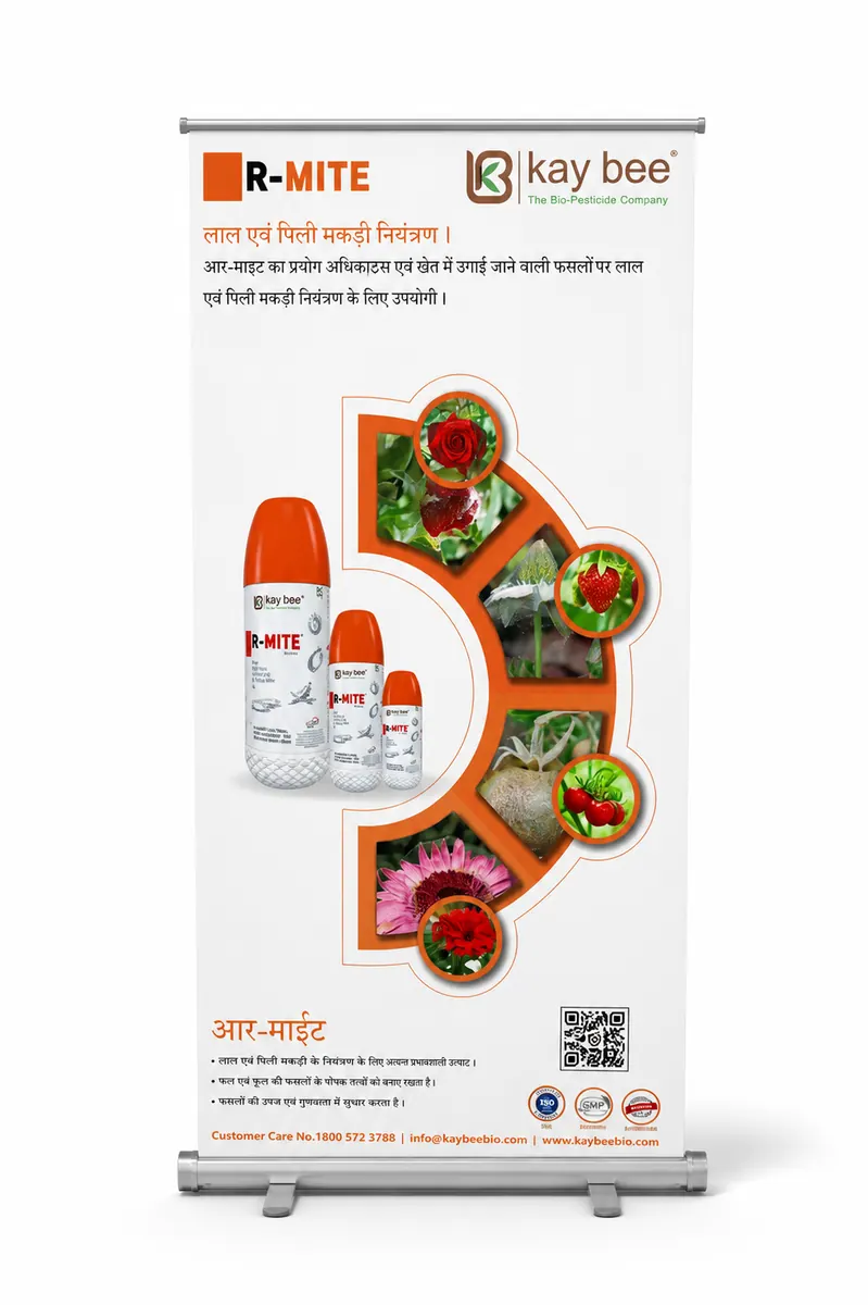 Roll-up standee on a white studio background